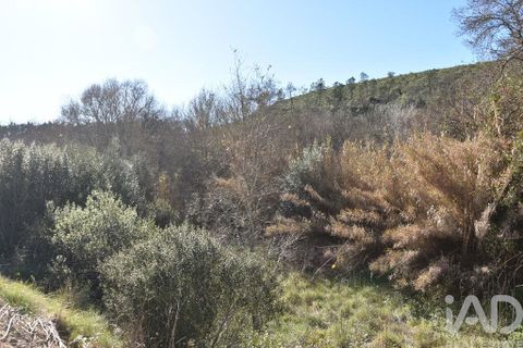 Terra a Ourem, Santarem, Ourem - € 8.400 | Ref: 135068 - foto 14