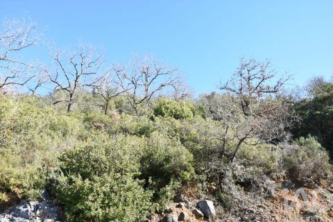 Terra a Ourem, Santarem, Ourem - € 8.400 | Ref: 135068 - foto 15