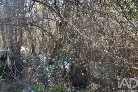 Terra a Ourem, Santarem, Ourem - € 8.400 | Ref: 135068 - foto 16
