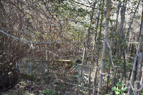 Terra a Ourem, Santarem, Ourem - € 8.400 | Ref: 135068 - foto 17