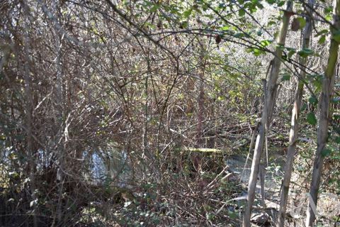 Terra a Ourem, Santarem, Ourem - € 8.400 | Ref: 135068 - foto 18