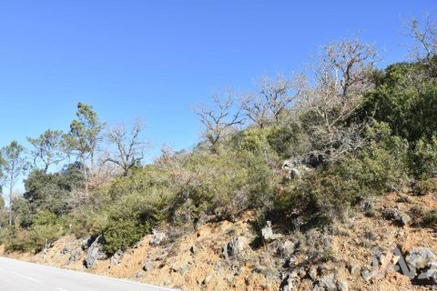 Terra a Ourem, Santarem, Ourem - € 8.400 | Ref: 135068 - foto 19