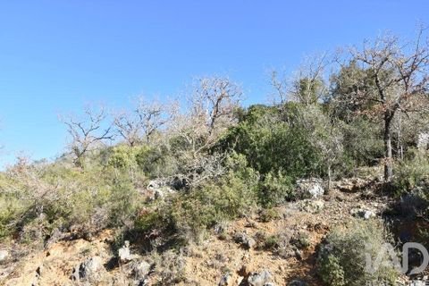 Terra a Ourem, Santarem, Ourem - € 8.400 | Ref: 135068 - foto 20