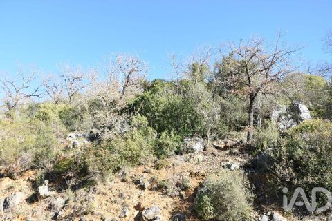 Terra a Ourem, Santarem, Ourem - € 8.400 | Ref: 135068 - foto 21