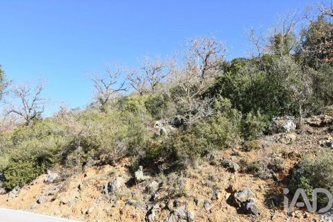 Terra a Ourem, Santarem, Ourem - € 8.400 | Ref: 135068 - foto 22