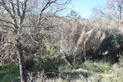 Terra a Ourem, Santarem, Ourem - € 8.400 | Ref: 135068 - foto 23