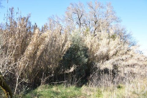 Terra a Ourem, Santarem, Ourem - € 8.400 | Ref: 135068 - foto 24
