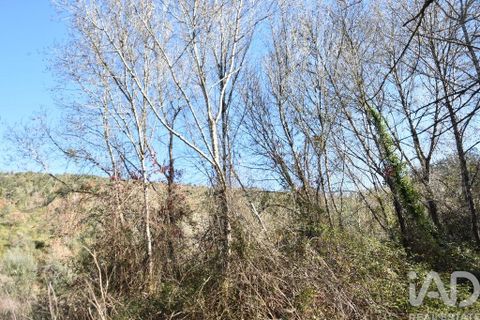 Terra a Ourem, Santarem, Ourem - € 8.400 | Ref: 135068 - foto 25