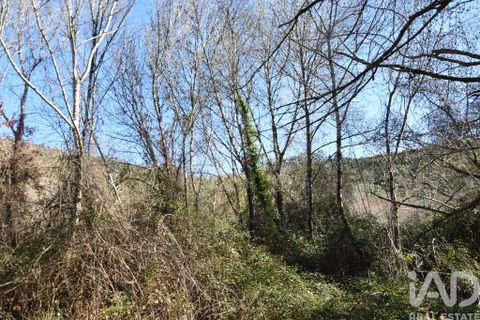 Terra a Ourem, Santarem, Ourem - € 8.400 | Ref: 135068 - foto 26