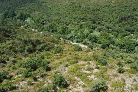Terra a Ourem, Santarem, Ourem - € 8.400 | Ref: 135068 - foto 29