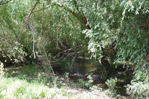 Terra a Ourem, Santarem, Ourem - € 8.400 | Ref: 135068 - foto 30
