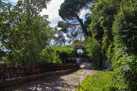 Villa a Trieste, Trieste, Trieste - € 4.750.000 | Ref: Villa Costiera - foto 4