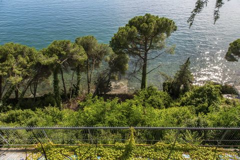 Villa a Trieste, Trieste, Trieste - € 4.750.000 | Ref: Villa Costiera - foto 9