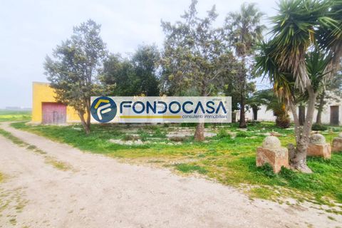 Terra a Brindisi, Brindisi, Brindisi - € 469.000 | Ref: 13 - foto 3