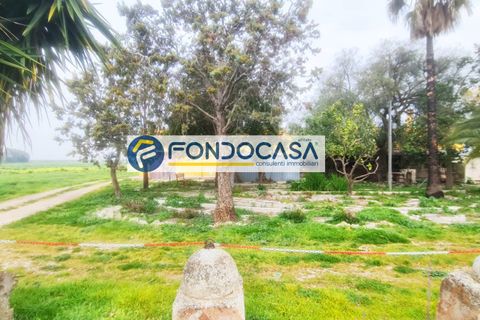 Terra a Brindisi, Brindisi, Brindisi - € 469.000 | Ref: 13 - foto 4
