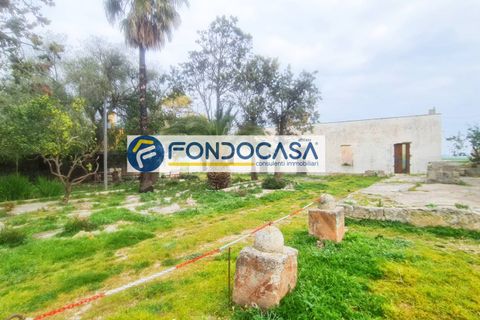 Terra a Brindisi, Brindisi, Brindisi - € 469.000 | Ref: 13 - foto 5