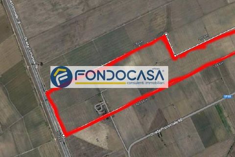 Terra a Brindisi, Brindisi, Brindisi - € 469.000 | Ref: 13 - foto 6
