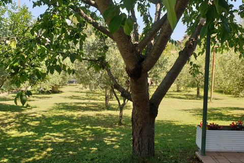 Villa a Venarotta, Ascoli Piceno, Venarotta - € 250.000 | Ref: 810 - foto 2