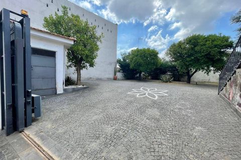 Villa a Ottaviano, Naples, Ottaviano - € 495.000 | Ref: 1052 - foto 41