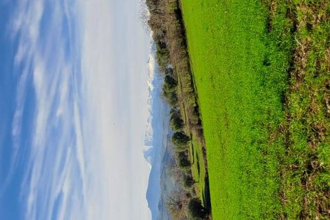 Terra a Massignano, Ascoli Piceno, Massignano - € 60.000 | Ref: 7822 - foto 4