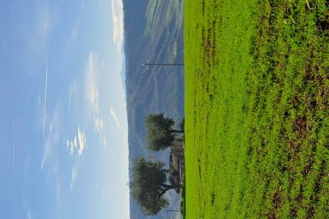 Terra a Massignano, Ascoli Piceno, Massignano - € 60.000 | Ref: 7822 - foto 5
