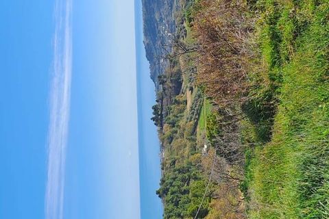 Terra a Massignano, Ascoli Piceno, Massignano - € 60.000 | Ref: 7822 - foto 6