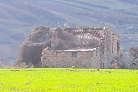 Terra a Massignano, Ascoli Piceno, Massignano - € 60.000 | Ref: 7822 - foto 7