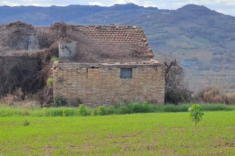 Terra a Massignano, Ascoli Piceno, Massignano - € 60.000 | Ref: 7822 - foto 8