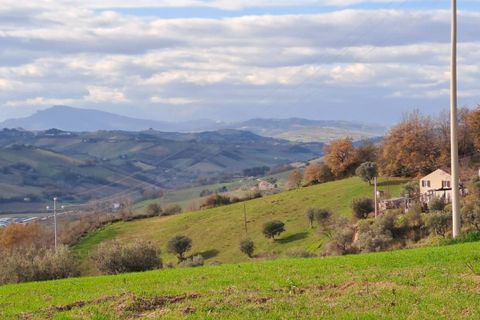 Terra a Massignano, Ascoli Piceno, Massignano - € 60.000 | Ref: 7822 - foto 9