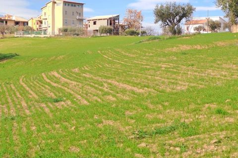 Terra a Massignano, Ascoli Piceno, Massignano - € 60.000 | Ref: 7822 - foto 10