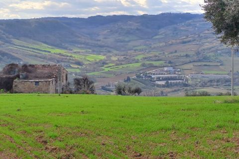 Terra a Massignano, Ascoli Piceno, Massignano - € 60.000 | Ref: 7822 - foto 11