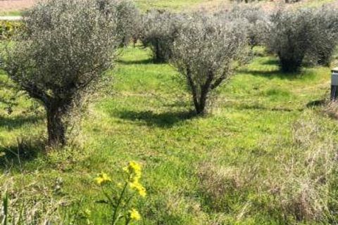 Landejendom i Massignano, Ascoli Piceno, Massignano - € 115.000 | Ref: 7927 - foto 3