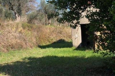 Landejendom i Massignano, Ascoli Piceno, Massignano - € 115.000 | Ref: 7927 - foto 5