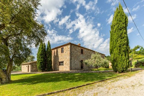 Villa a Allerona, Terni, Allerona - € 3.500.000 | Ref: CBI134-1917-75 - foto 18