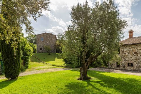 Villa a Allerona, Terni, Allerona - € 3.500.000 | Ref: CBI134-1917-75 - foto 50