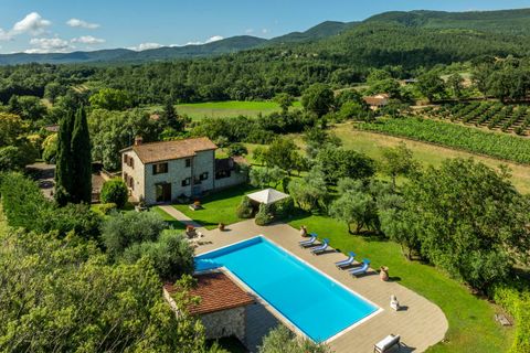 Landejendom i Montecchio, Terni, Montecchio - € 1.050.000 | Ref: CBI134-1917-102 - foto 30