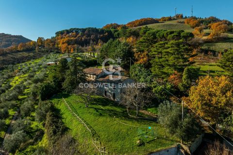 Landejendom i Gubbio, Perugia, Gubbio - € 595.000 | Ref: CBI134-1917-133 - foto 20
