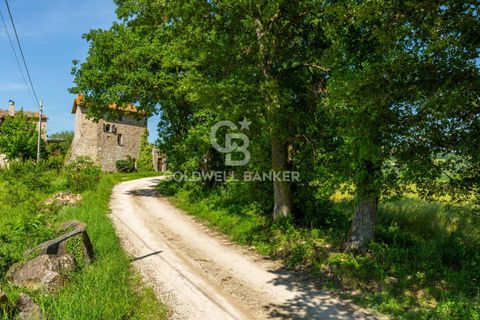 Villa em Todi, Perugia, Todi - € 165.000 | Ref: CBI134-1917-145 - foto 3