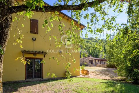 Landejendom i Gubbio, Perugia, Gubbio - € 620.000 | Ref: CBI134-1917-152 - foto 3
