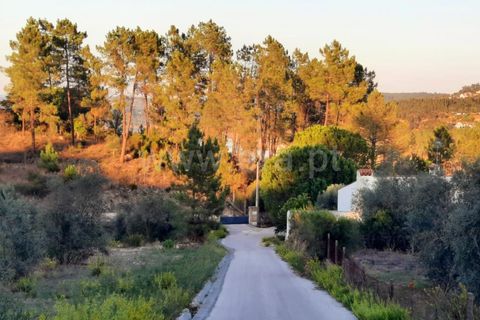 Helårsgrund i Tomar, Santarem, Tomar - € 36.000 | Ref: 395230074 - foto 2