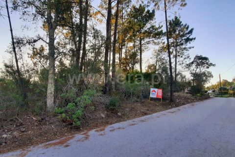 Helårsgrund i Tomar, Santarem, Tomar - € 36.000 | Ref: 395230074 - foto 3