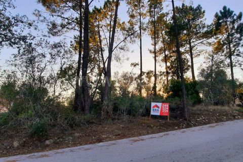 Helårsgrund i Tomar, Santarem, Tomar - € 36.000 | Ref: 395230074 - foto 4