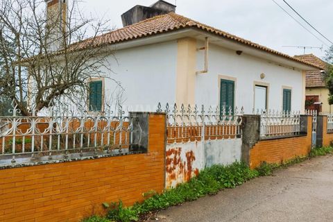 Villa i Tomar, Santarem, Tomar - € 499.000 | Ref: 395240003 - foto 21