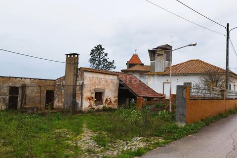 Villa i Tomar, Santarem, Tomar - € 499.000 | Ref: 395240003 - foto 27
