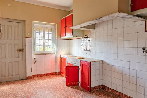 Erhvervsejendom i Tomar, Santarem, Tomar - € 295.000 | Ref: 395250032 - foto 6