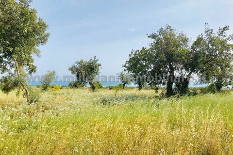 Helårsgrund i Modica, Ragusa, Modica - € 150.000 | Ref: 44 - foto 3