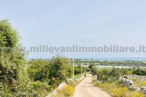 Helårsgrund i Modica, Ragusa, Modica - € 150.000 | Ref: 44 - foto 11