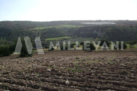 Landejendom i Ragusa, Ragusa, Ragusa - € 750.000 | Ref: 669 - foto 20