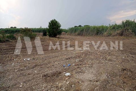 Helårsgrund i Ispica, Ragusa, Ispica - € 150.000 | Ref: 1102 - foto 3