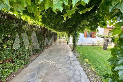 Villa a Scicli, Ragusa, Scicli - € 400.000 | Ref: 1120 - foto 4